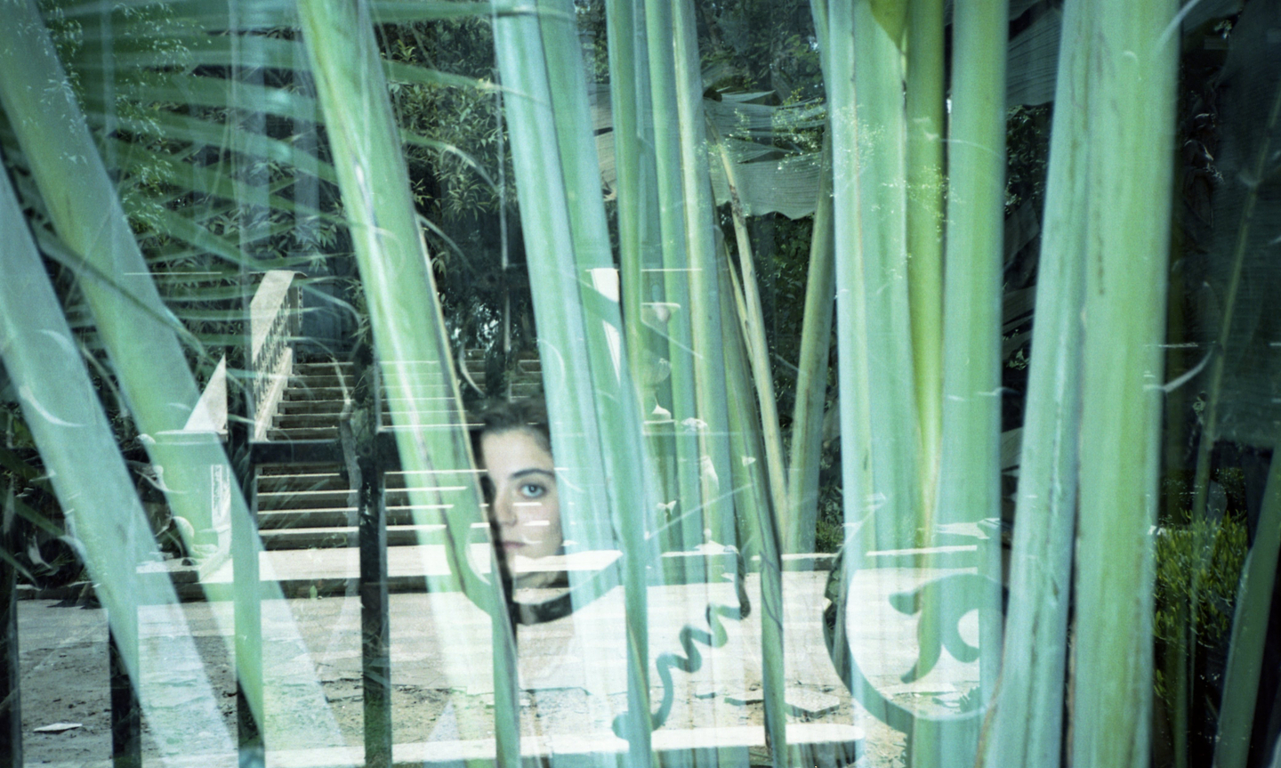 A portrait of Nadah El Shazly looking toward the camera between the branches of a palm.