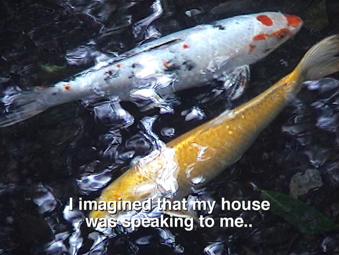 A close up of two koi fish from above with reflections in the water. The subtitles, I imagined that my house was speaking to me.., appear in white text near the bottom.