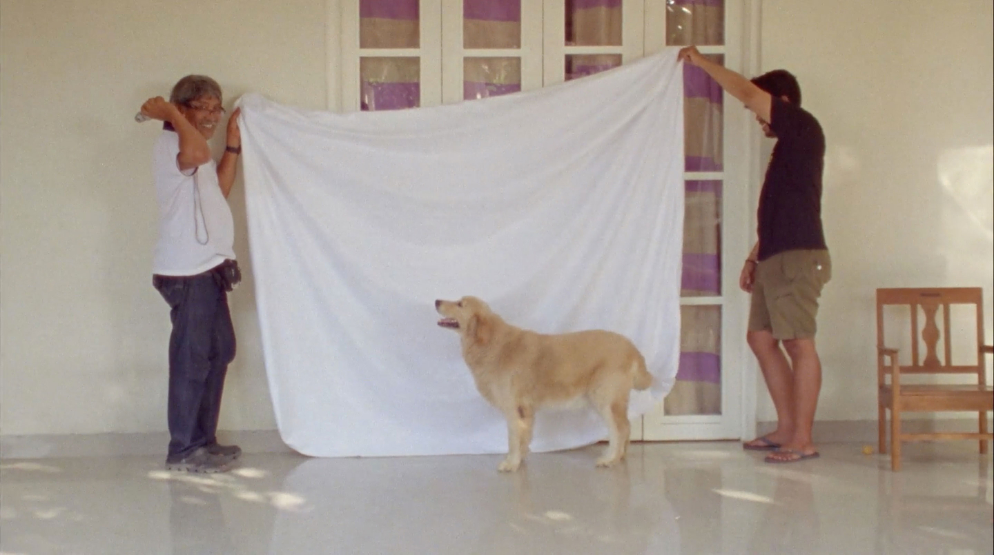 Two men stand in front of French doors in a white wall, and hold a white sheet up like a backdrop behind a golden retriever dog.