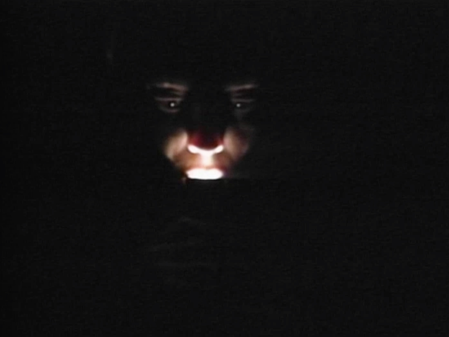 A ghostly image of a face illuminated from below by a flashlight.