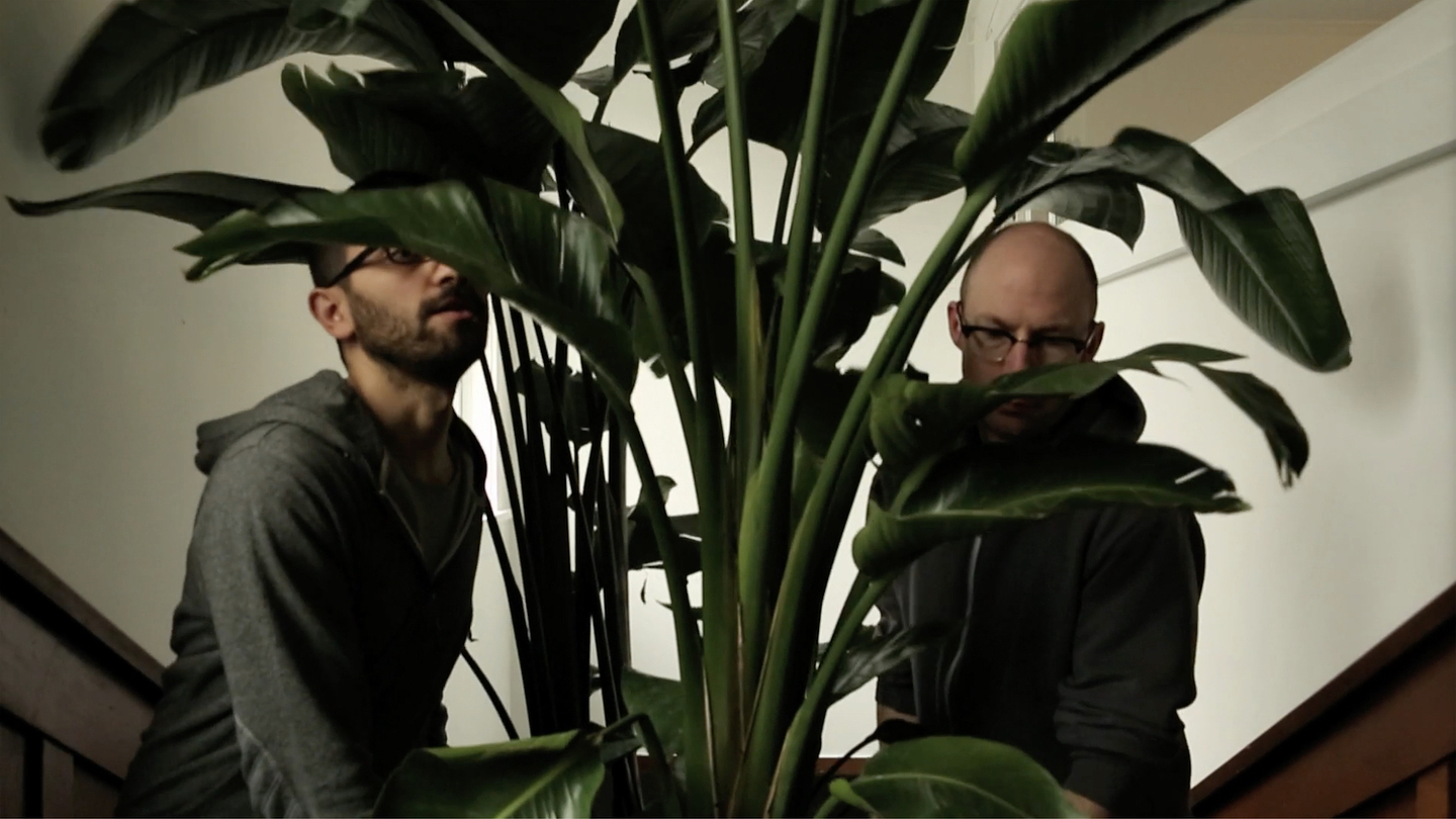 Two men carry a large potted Bird of Paradise plant up a stairwell.