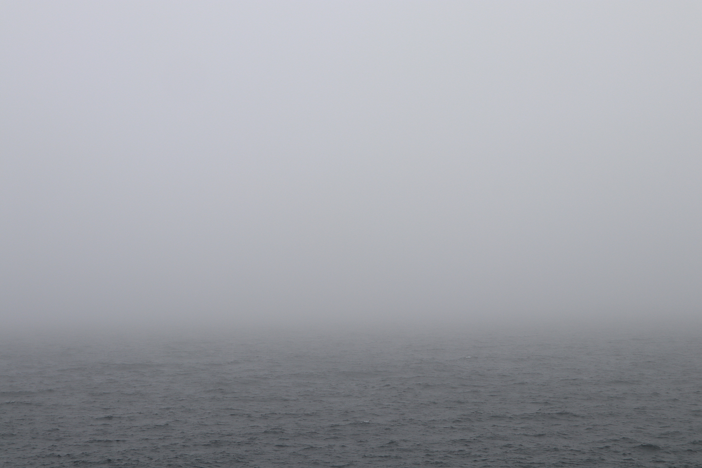 A thick layer of fog hangs over a grey ocean.