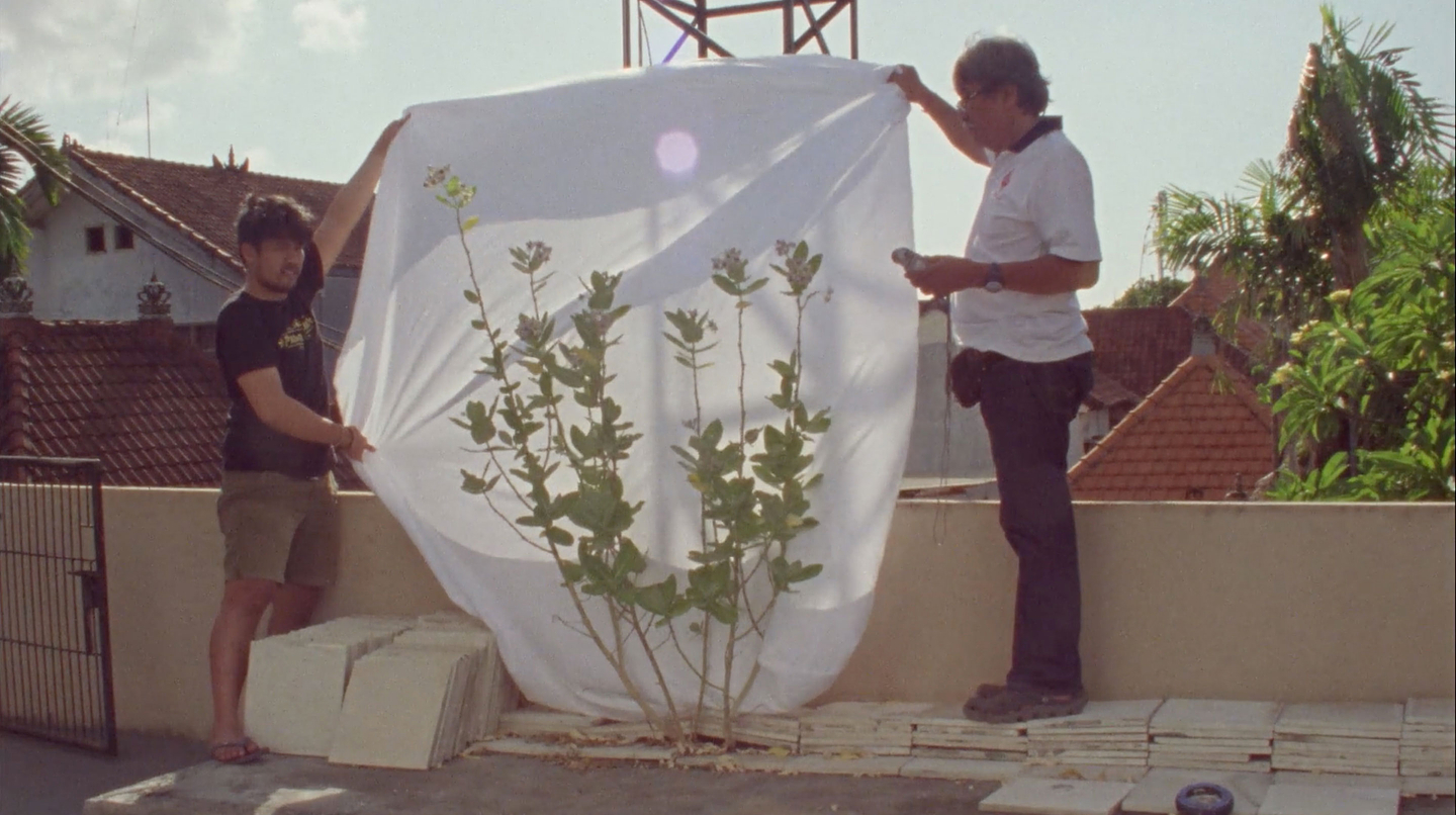 Two men stand in front of a low wall outside, holding up a white sheet like a backdrop behind a shrub. Palm trees and the roofs of houses are visible in the background.