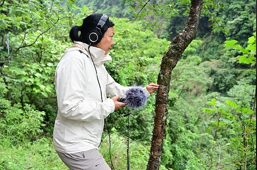Susie Ibarra wears a white jacket and headphones while recording sounds in a lush green forest. She is holding a handheld recorder with a fuzzy windscreen microphone close to a tree trunk, appearing focused on capturing ambient or natural sounds. The surrounding area is dense with green foliage and trees.