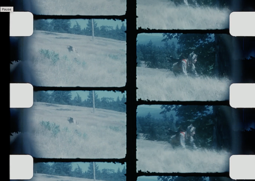 A strip of old film divided into two vertical columns, each showing three rectangular frames of a grassy hillside in bluish tones. The left column’s frames are soft and distant, with a small dark figure barely visible in the field, while the right column’s frames show a closer view of artist Kate Craig wearing a leopard print unitard and black wings shaped like hands moving through tall grass near trees. The film edges are rough and black, with white sprocket areas visible on the far left and right, emphasizing a vintage, analog movie-reel appearance.