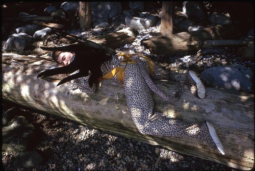 Image of Kate Craig in her Flying Leopard costume and "Hand of the Spirit" wings lying, perhaps sleeping, straddling a log on a rocky beach.