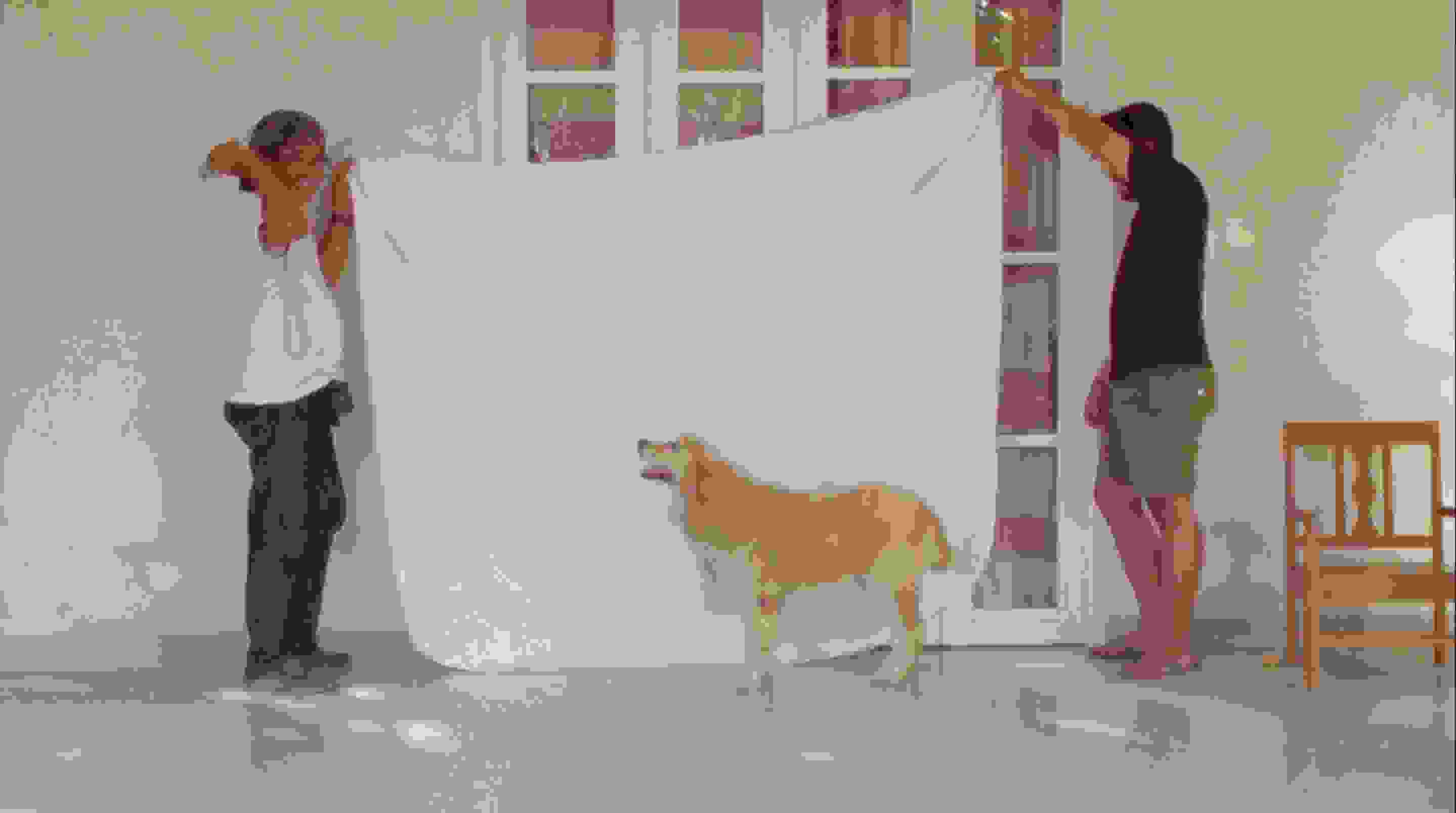 Two men stand in front of French doors in a white wall, and hold a white sheet up like a backdrop behind a golden retriever dog.